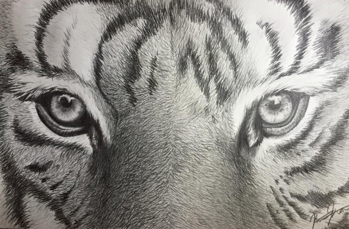 Eye of the Tiger