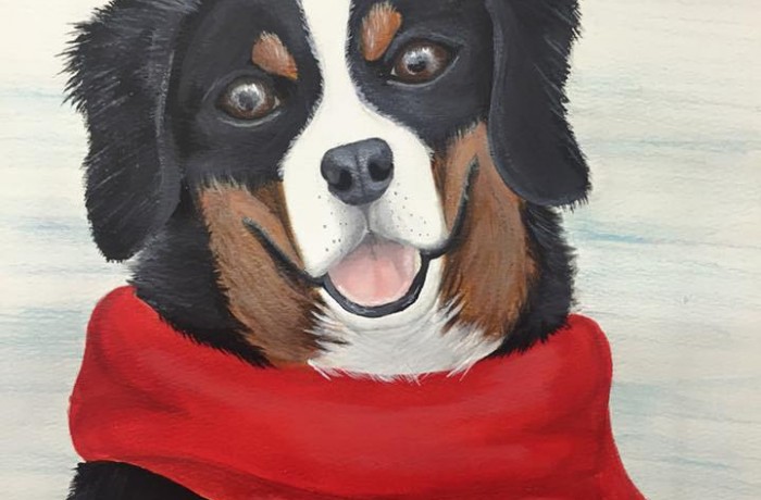 Bernese Mountain Dog